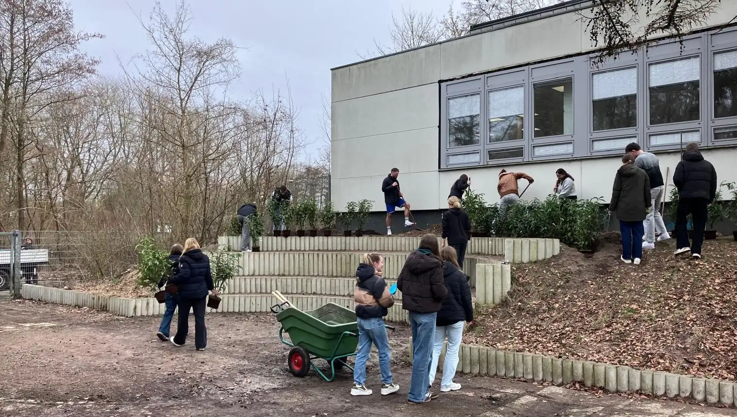 2026 03 17 Work in Progress.png